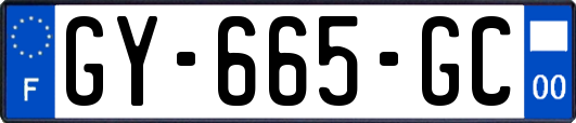 GY-665-GC