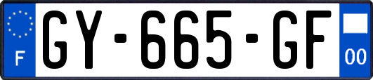 GY-665-GF