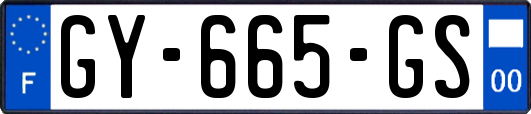 GY-665-GS