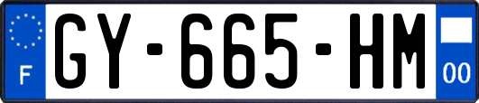 GY-665-HM