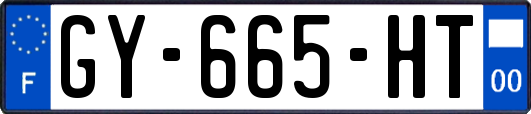 GY-665-HT