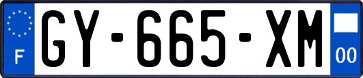 GY-665-XM