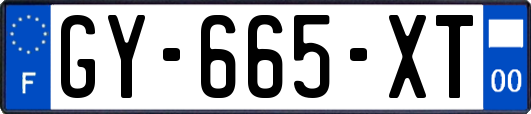 GY-665-XT