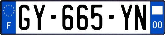 GY-665-YN