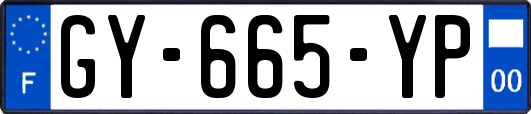 GY-665-YP