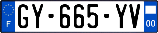 GY-665-YV