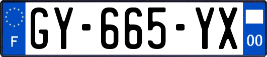 GY-665-YX
