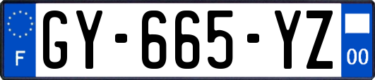 GY-665-YZ