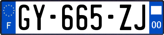 GY-665-ZJ