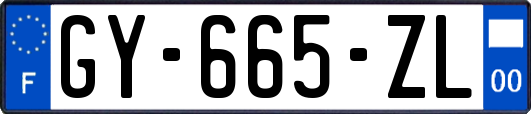 GY-665-ZL