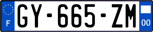 GY-665-ZM