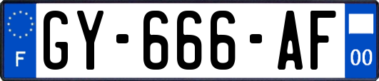 GY-666-AF