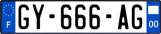 GY-666-AG