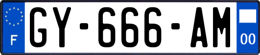 GY-666-AM