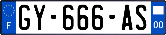 GY-666-AS