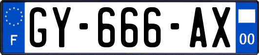 GY-666-AX