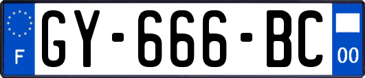 GY-666-BC