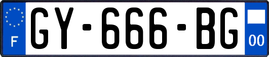 GY-666-BG