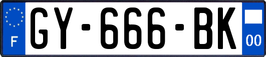 GY-666-BK