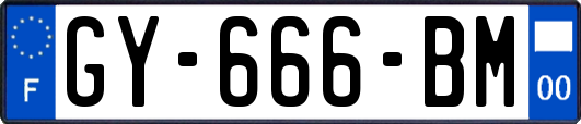 GY-666-BM