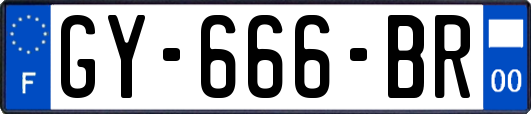 GY-666-BR