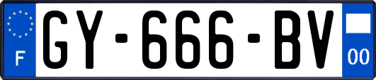 GY-666-BV