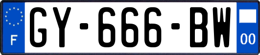 GY-666-BW