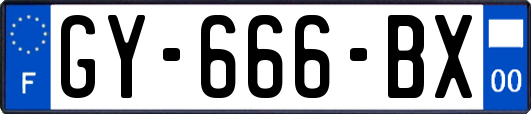 GY-666-BX