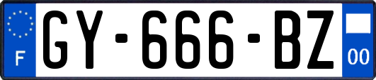 GY-666-BZ