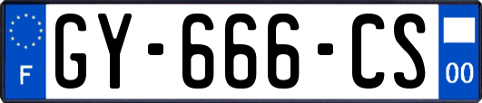 GY-666-CS