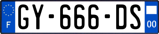 GY-666-DS