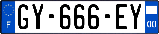 GY-666-EY