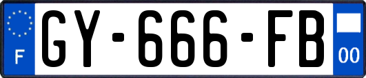 GY-666-FB