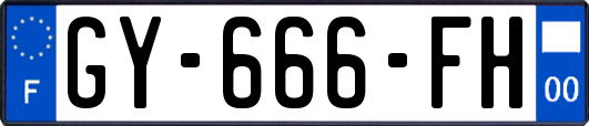 GY-666-FH