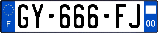 GY-666-FJ