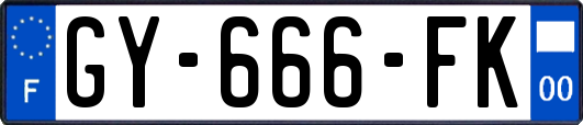 GY-666-FK