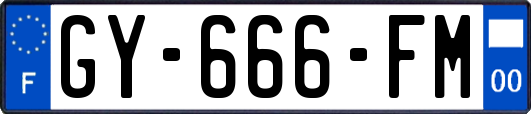GY-666-FM