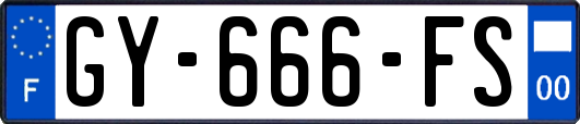 GY-666-FS