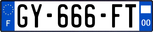 GY-666-FT
