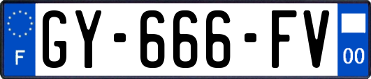 GY-666-FV