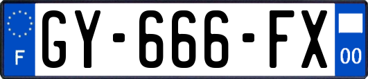 GY-666-FX