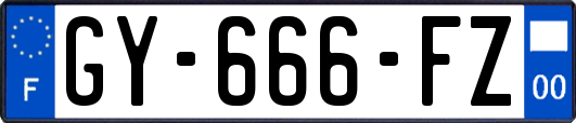 GY-666-FZ
