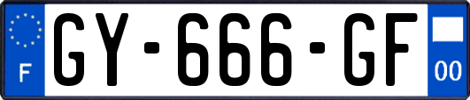 GY-666-GF