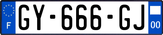 GY-666-GJ