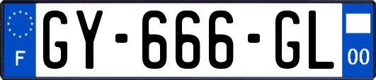 GY-666-GL