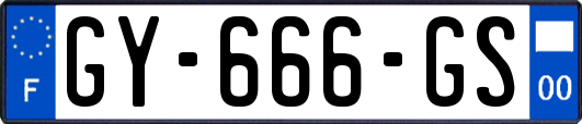 GY-666-GS