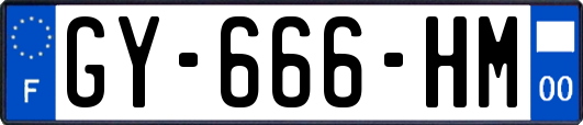 GY-666-HM