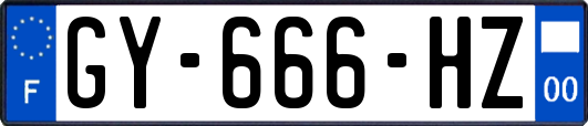 GY-666-HZ