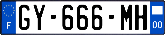 GY-666-MH