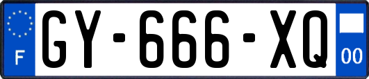 GY-666-XQ
